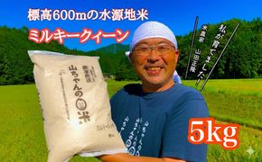 487. 農家直送「山ちゃんのお米」ミルキークイーン5kg