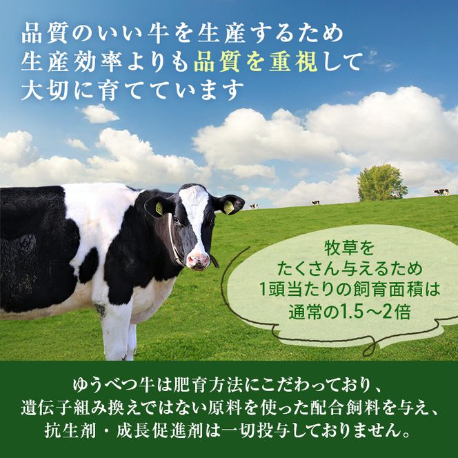 北海道産 ゆうべつ牛 ステーキセット 約590g（サーロインステーキ3枚、リブロースステーキ1枚） サーロイン リブロース ステーキ肉 お肉 牛肉 赤身 冷凍 湧別牛 冷凍 国産 遺伝子 オホーツク 焼肉 バーベキュー 