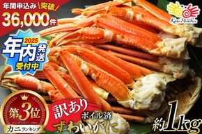 かに カニ【年内配送】 訳あり ボイル ずわいがに 肩付き脚 総重量1kg [カネダイ 宮城県 気仙沼市 20564325_CF02] カニ かに 魚介類 ズワイガニ ずわい蟹 ズワイ蟹 ずわい ズワイ 蟹 カニ カニ脚 蟹脚 不揃い 規格外 海鮮 ご褒美