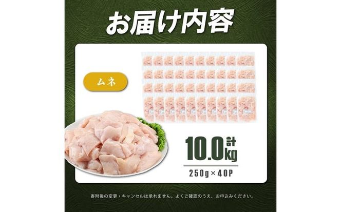 小分けで便利！鹿児島県産若鶏ムネ切身 計10kg(250g×40P) b6-029