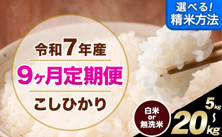 [9ヶ月定期便] こしひかり 選べる 精米方法 白米 無洗米 5kg 10kg 15kg 20kg 熊本県産(南阿蘇村産含む) 単一原料米 南阿蘇村 産 米 定期便[お申込月の翌月から出荷開始]---kh7tei_112500_5kg_mo9_mna_h---