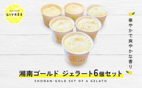 湘南ゴールドジェラート6個セット 142069_HY006