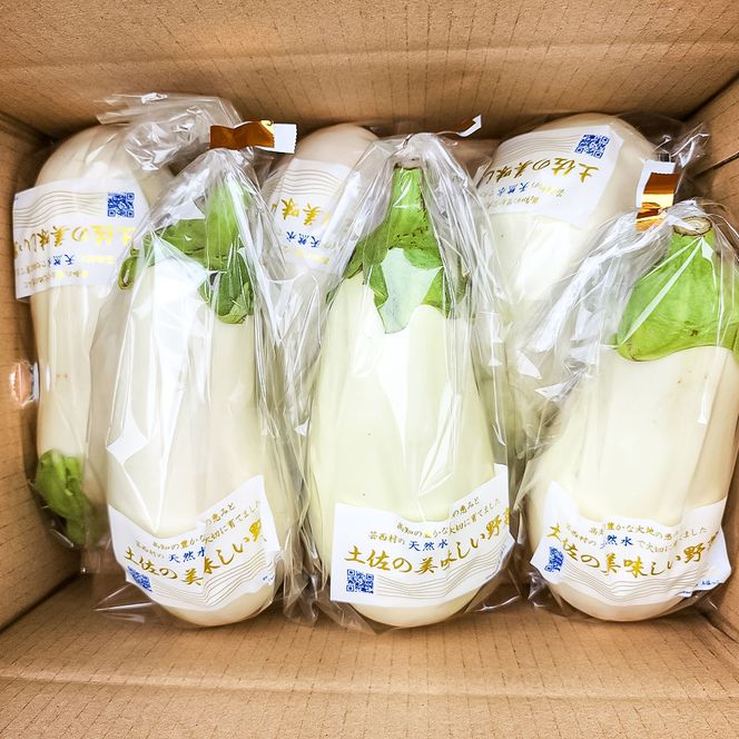 KYN003　先行予約 白ナス6本 - なす 茄子 1本180g以上 野菜 新鮮 美味しい グラタン シチュー ラタトゥイユ 洋食 和食 料理 お取り寄せ ふるさとのうぜい 故郷納税 6000円 返礼品 高知県 高知