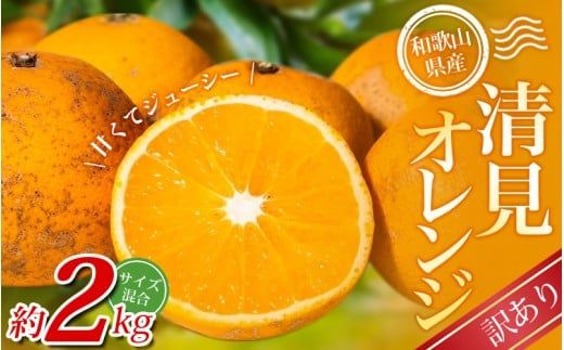 【訳あり】手選別 清見オレンジ 約2kg 和歌山県産 2S~2Lサイズ混合※2026年2月上旬～5月中旬頃に順次発送【mrmt023A】