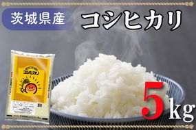 AL013　令和5年産米！茨城県産コシヒカリ（5kg）