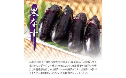 【先行予約】食べ比べ！白と黒のナスセット 黒ナス8本 白ナス4本 なす 茄子 黒なす 白なす 焼き茄子 煮浸し 漬物 浅漬け 味噌汁 おかず 野菜 常温 配送 国産