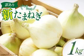 訳あり 新玉ねぎ 1kg [稲生ファーム 富山県 舟橋村 57050220] 玉ねぎ 新たまねぎ タマネギ