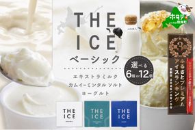 【THE ICE】  ベーシック セット