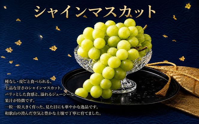 【全3回】夏と秋を味わうフルーツ定期便 (桃・マスカット・柿)【tkb370】