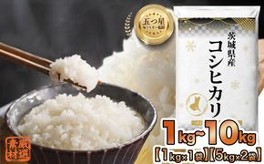 ＼ 選べる内容量 ／ 令和7年産 茨城県産 コシヒカリ 1kg 2kg 3kg 5kg 10kg 五つ星 お米マイスター 監修 こしひかり 国産 こめ コメ 米 精米 人気 美味しい ランキング ふるさと納税 返礼品  [DW03-NT]