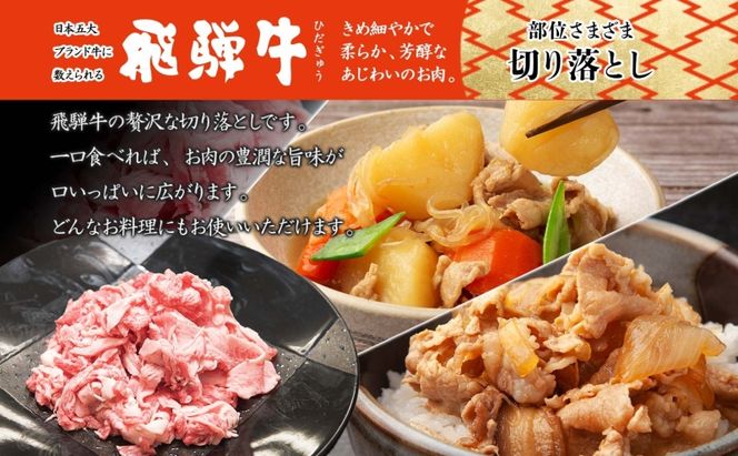 飛騨牛 切り落とし 350g×2P 国産 国産牛 牛肉 肉 牛 日本産 和牛 BBQ 焼き肉 赤身 小分け 便利 冷凍保存 一人暮らし 牛丼 肉じゃが 煮物 焼く 簡単調理 薄切り 飛騨牛切り落とし カレー ビーフシチュー 贈答品 お取り寄せ 送料無料 岐阜県 美濃市