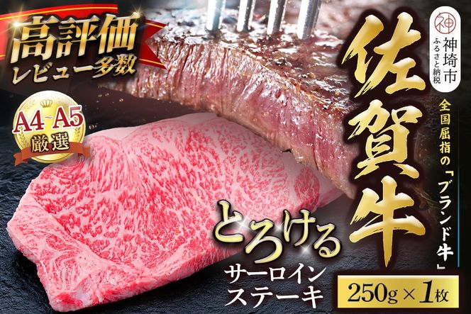 【先行受付 8月中旬より発送開始】佐賀牛 サーロインステーキ 250g×1枚【黒毛和牛 牛肉 最高級 冷凍 ギフト 贈答 丸宗ミート 神埼市】(H065235)