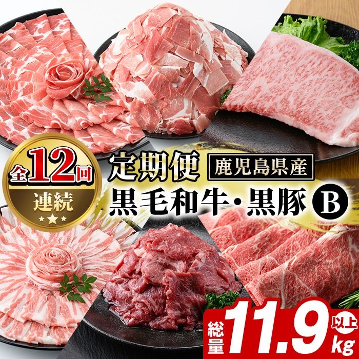 [定期便・全12回(連続)]鹿児島県産 黒毛和牛・黒豚定期便 B (総量約11.9kg以上) 国産 鹿児島県産 黒豚 しゃぶしゃぶ 肩 ロース スライス 訳あり 切り落とし 黒毛和牛 サーロイン ステーキ 黒豚 バラ カタ ウデ 小分け セット [スターゼン]akn042-36