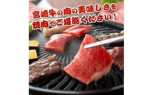 ※発送時期が選べる※宮崎牛霜降り焼肉 700g (350g×2) 【 肉 牛肉 国産 宮崎県産 宮崎牛 黒毛和牛 和牛 焼肉 BBQ 4等級  A4ランク 肩ロース 】 [E11122]