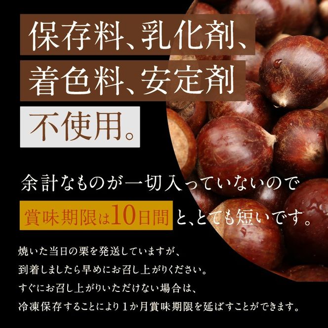 【福箱★2027】【先行予約10月下旬～11月中発送★新栗】この道50年の職人が焼く､やさしい甘みたっぷり！｢天津甘栗｣1.6kg H045-111