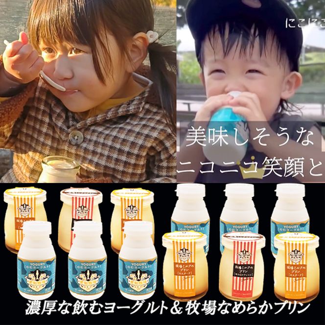 愛知牧場 冷蔵スイーツセット（飲むヨーグルト6本＆プリン6個） 乳飲料 ドリンク お菓子 生乳 グラニュー糖 新鮮 牛乳 贅沢 カスタード カラメル 杏仁プリン 