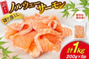 訳あり 無添加 ノルウェー産 アトランティックサーモン 切り落とし おさしみ用 1kg 200g ×5p [足利本店 宮城県 気仙沼市 20565179] サーモン さけ サケ 魚介類 鮭 尾っぽ はしっこ お刺し身 刺し身 刺身 個包装 海鮮 魚介 魚 小分け 冷凍 真空包装 ノルウェー