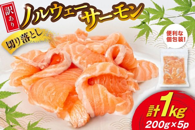 y{錧Csz󂠂 Y mEF[Y AgeBbNT[ ؂藎Ƃ ݗp 1kg 200g ×5p [{X {錧 Cs 20565179] T[  TP    ͂ hg hg hg  CN    Ⓚ ^ mE