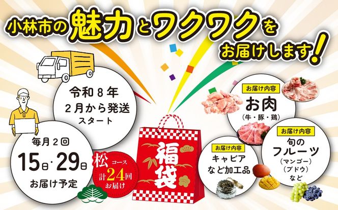 【定期便・全24回】新春おたのしみ 福袋 松（牛肉 豚肉 鶏肉 果物 フルーツ 2026 限定 定期便 先行予約 宮崎 小林市）