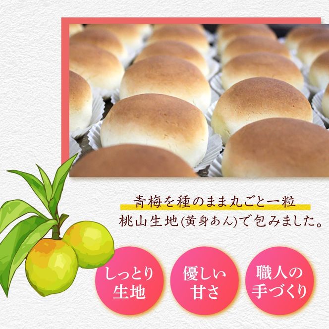 【老舗の菓子屋】築上銘菓「 梅の実 」20 個《築上町》【有限会社 御菓子司 鹿の子】[ABAC020]