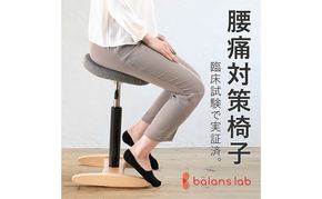 バランス シナジー(カバーなし) 椅子 腰痛 対策 イス バランスラボ 岐阜県 美濃市