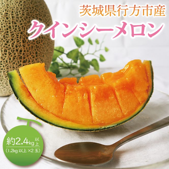 【2026年5月より順次発送】クインシーメロン（2玉）｜メロン クインシーメロン フルーツ 果物 くだもの 先行予約 茨城県 行方市(BW-19-1)