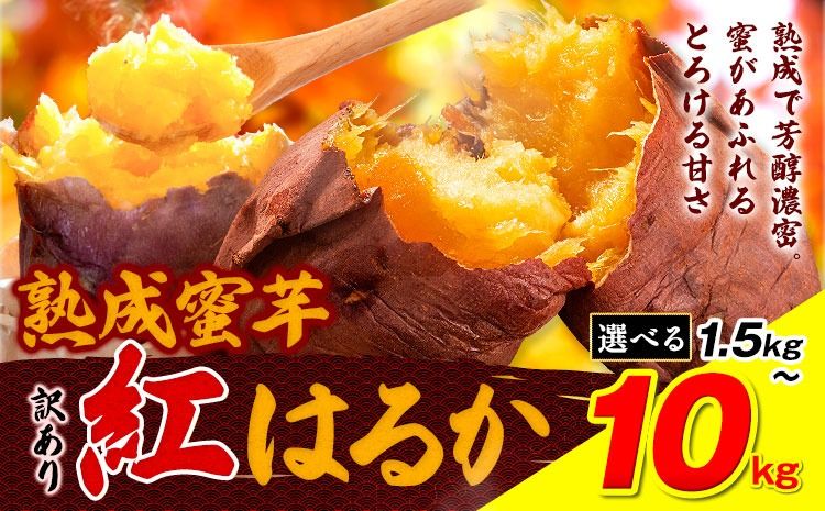 訳あり紅はるか サツマイモ 選べる 1.5kg 3kg 5kg 10kg [2026年1月上旬-5月末頃出荷予定]紅はるか さつまいも 熊本県 大津町 イモ 芋 さつまいも 訳あり---oz_jsmih_26_af15_3500_1500g---