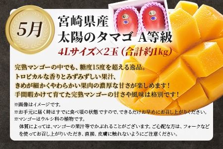 ＜太陽のタマゴを肉ではさんだ超贅沢な3か月定期便＞2025年4月から第一回目を順次出荷【b0674_co】