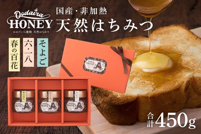 y򕌌SÒz419.YVR M݂͂ 150g 3{Zbgut̕Sԁvu6.18vu悲v