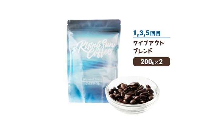 豆ワイプアウトブレンド 200g×2 or アイナハイナブレンド 200g×2交互　定期便各3回　合計6回 コーヒー 珈琲 オリジナル 飲み比べ SUNNY 坂口憲二 九十九里町 千葉県
