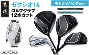 ゼクシオ 14 スチールシャフト 12本セット キャディバッグ付 ≪2025年モデル≫ _IQ-C701 _（都城市） ドライバー フェアウェイウッド ユーティリティ アイアン ダンロップ XXIO メンズ レディス 女性用 ゴルフ用品 ゴルフクラブ ギア クラブセット フルセット ふるさと納税 ゴルフ 宮崎県 都城市