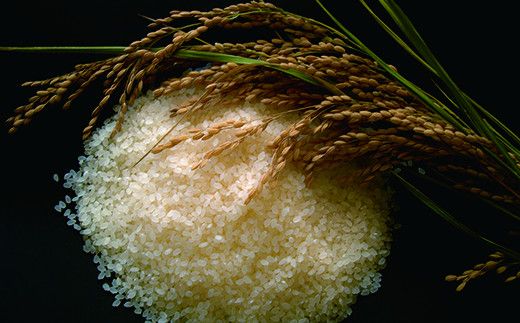 《令和７年産米》花巻ひとめぼれ8kg（2kg×4袋） 【1289】