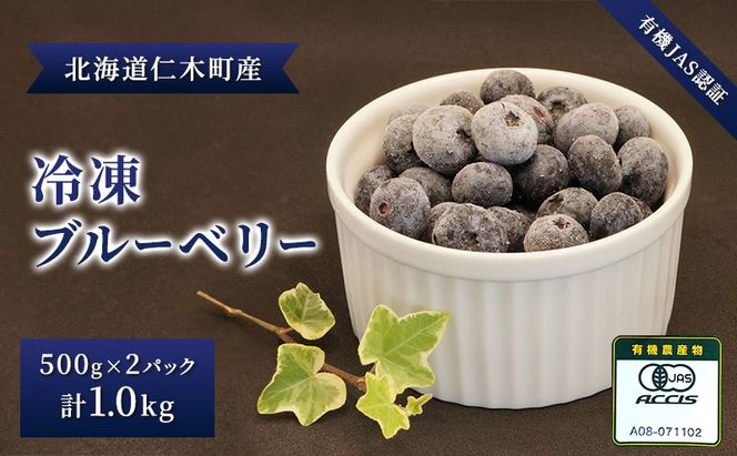 先行受付 【有機JAS認証】北海道仁木町産オーガニック冷凍ブルーベリー 500g×2パック 計1.0kg 果物 フルーツ 冷凍フルーツ 有機栽培 樹上完熟 手摘み トッピング  [株式会社 自然農園]