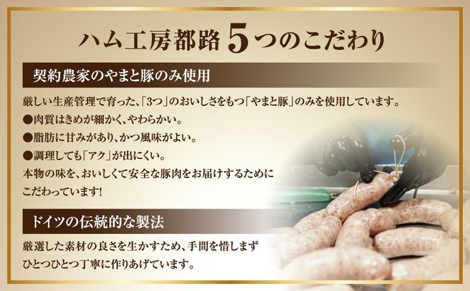 DLG 金賞 ベーコン ・ ウインナー 6種 詰め合わせ 詰合せやまと豚 DLG 金賞 おかず 焼くだけ 化粧箱 のし 熨斗 ギフト お中元 お歳暮 プレゼント人気 ランキング おすすめ 福島県 田村市 都路 ハム工房 N001-013