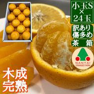 訳あり 傷多め 4月 まで 木成 完熟 させた 有田 はっさく S × 24玉 茶箱 南泰園 みかん 	BS766