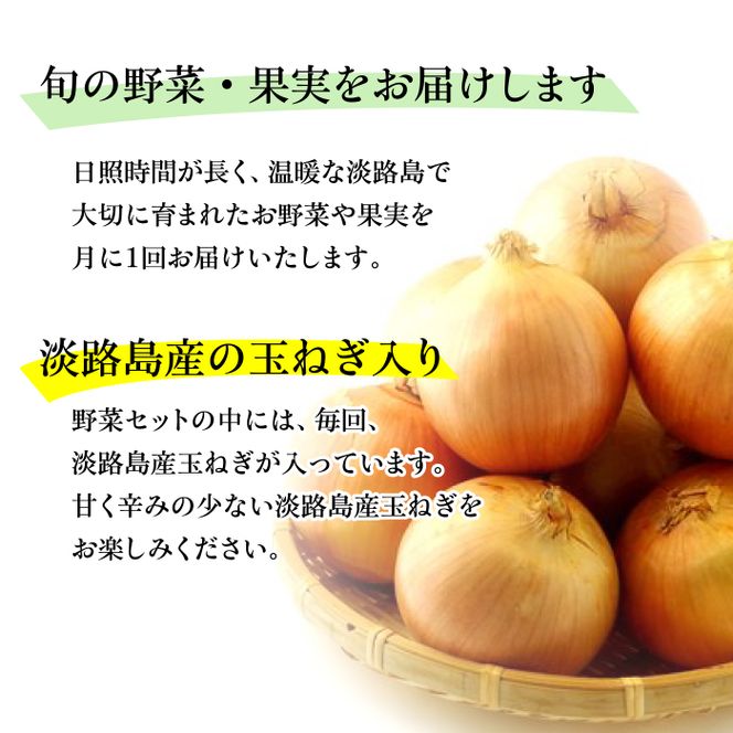 淡路島の新鮮野菜セット【休日お届け】　野菜