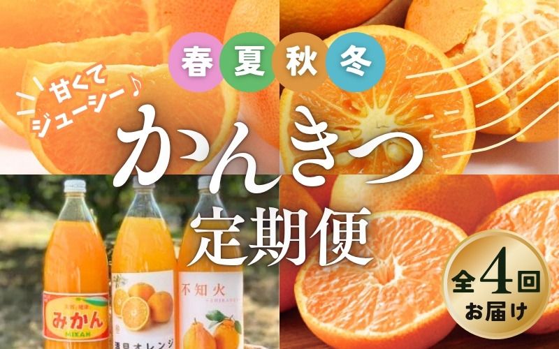 みかん [全4回] 柑橘 定期便 石本果樹園 旬の柑橘を春夏秋冬でお届け! / フルーツ 果物 くだもの 柑橘 フルーツ定期便 くだもの定期便 定期便 みかん ミカン 温州みかん せとか カラマンダリン ジュース 産地直送 旬 人気 おすすめ 三重県 紀宝町 [tkb508]