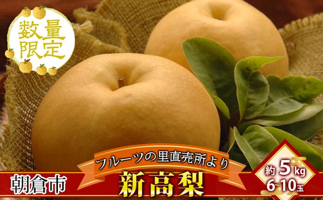 フルーツの里の直売所より 新高梨 5kg ナシ 果物 先行予約 