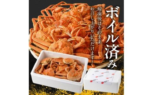 訳あり！ボイルオオズワイガニ3キロ_HD088-007