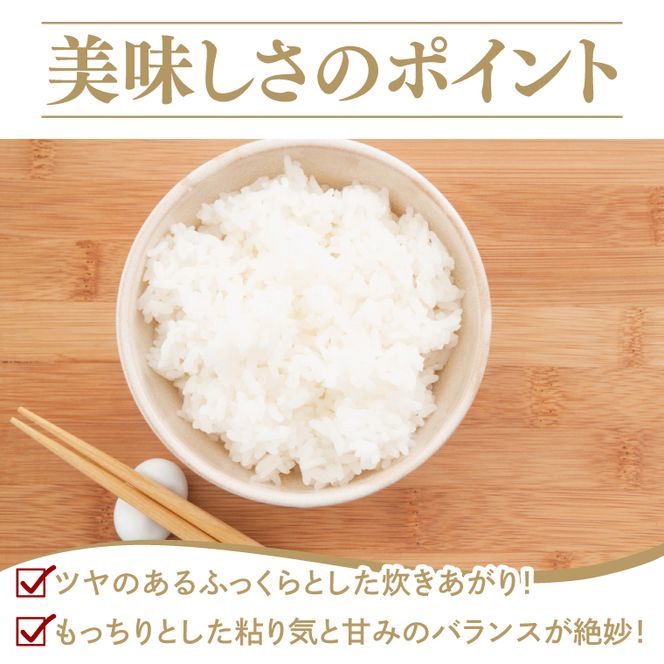 【3ヶ月定期便】【金賞農家が栽培した家庭用米】立神米「にじのきらめき」5kg×3回（白米）｜茨城県 大子町 奥久慈 大子産米 精米 米 コンテスト 受賞 生産者（BT062）