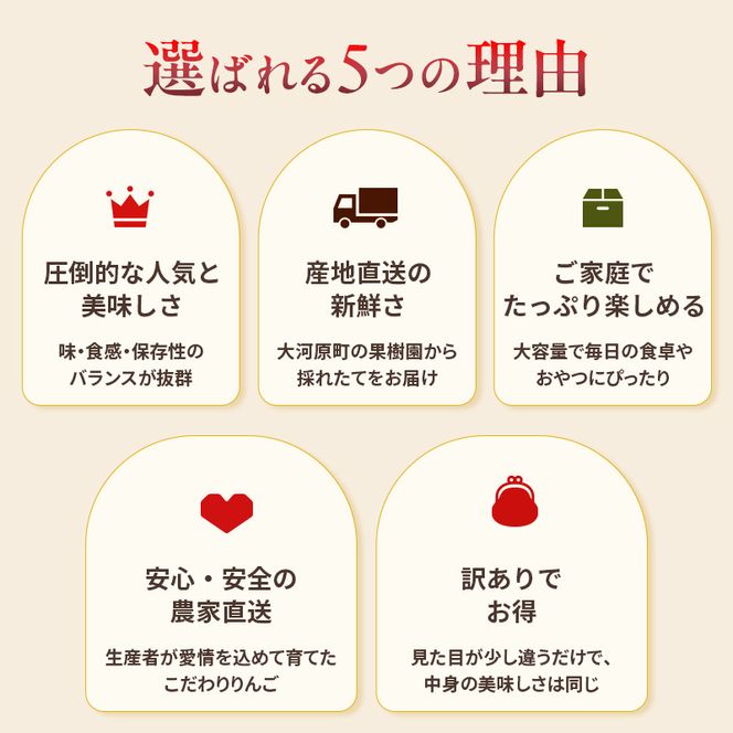 人気No.1 りんご ふじ 10kg 果物 フルーツ 先行予約 単品 定番 宮城県 大河原町 リンゴ 林檎 くだもの 大容量 送料無料