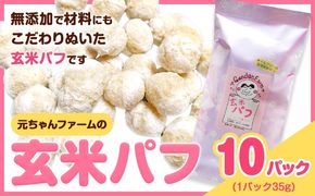 玄米パフ(10パック入り) 1パック35g 自然で優しい素朴なスナック菓子 元ちゃんファーム《90日以内に出荷予定(土日祝除く)》 和歌山県 紀の川市 玄米 パフ 送料無料---wsk_gncgpfsn_90d_22_14000_350g---