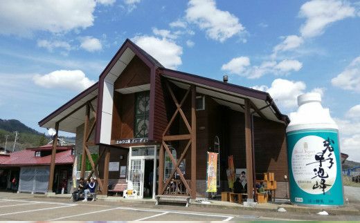 【6ヶ月定期便】早池峰のむヨーグルト３本セット 【639】