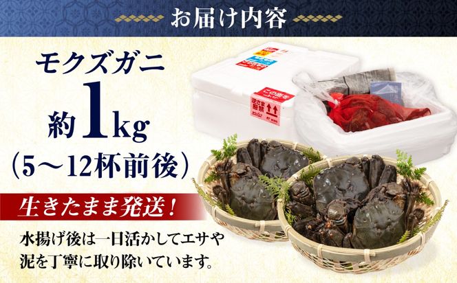 【先行予約】【2026年11月下旬以降順次発送】新鮮 活モクズガニ 1kg (5〜12杯前後) オス メス セット《築上町》【明青丸】 蟹 カニ カニ味噌[ABCB005]