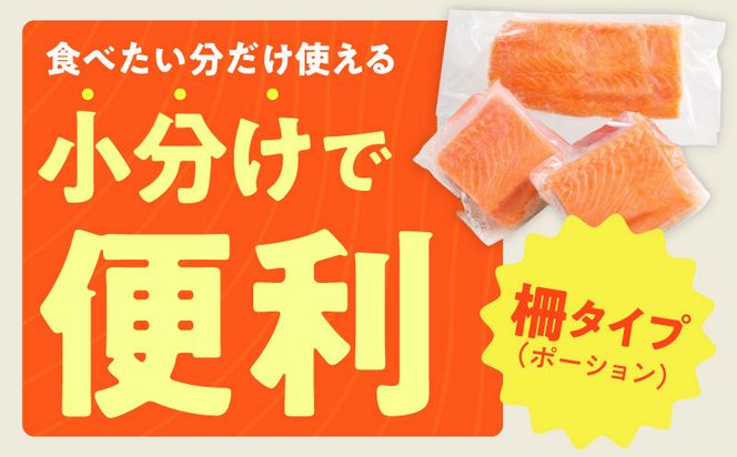 010B1969 【お試し】サーモン 500g ポーション【訳あり サイズ不揃い 刺身 海鮮丼 さーもん サラダ カルパッチョ 鮭 さけ シャケ しゃけ 人気 小分け 冷凍 家計応援】
