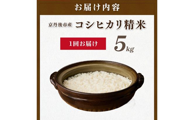 直売所直送「令和7年産　京丹後市産　コシヒカリ」　精米5kg こめ ふるさと納税 コシヒカリ 精米 米 精米 白米 2025 年 京都産　JA00082