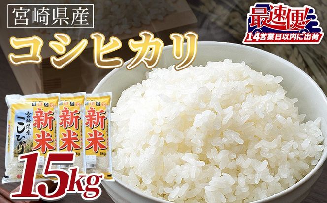 y{茧xzߘa7NxYVā@{茧YRVqJ@15kg14cƓȓɏoׁy Y   ő   Ђ ͂   Hi z yb0845_su_x1z