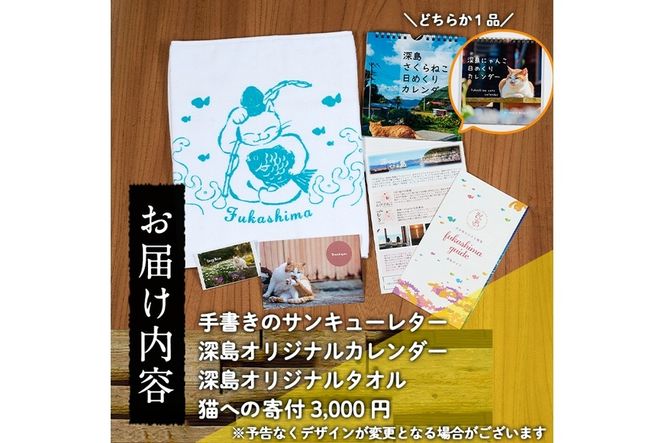 深島の猫へ寄付と深島猫グッズ (Bプラン・計5種) 猫 ネコ ねこ 寄附 カレンダー タオル  大分県 佐伯市【EK10】【でぃーぷまりん】