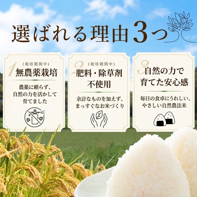 【大分県産】 自然農法 玄米 5kg