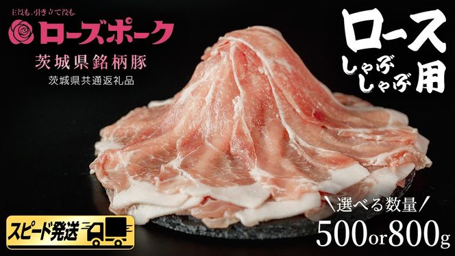 【 スピード 発送 】＼ 選べる内容量 ／【 ローズポーク 】 豚 ロース しゃぶしゃぶ 用 500g / 800g (茨城県共通返礼品) 肉 お肉 豚肉 国産豚 国産 銘柄豚 ブランド豚 豚ロース 鍋 しゃぶしゃぶ